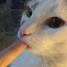 ПлохоеВлияние