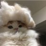 Егор!